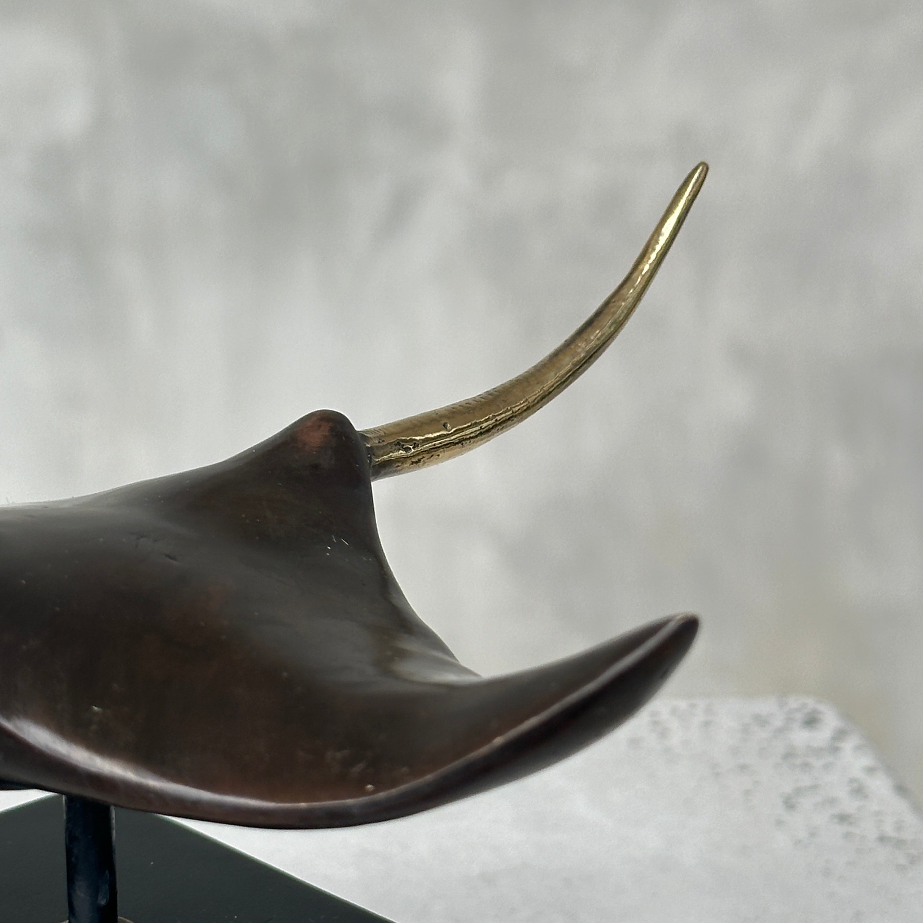 Manta Ray Brown with Polished Accents - Small