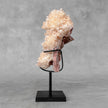 Beautiful Quartz Crystal cluster on a custom stand CC/547