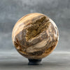 Sphere Stone petrified wood-S2/193