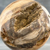 Sphere Stone petrified wood-S2/193