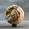 Sphere Stone petrified wood-S2/193