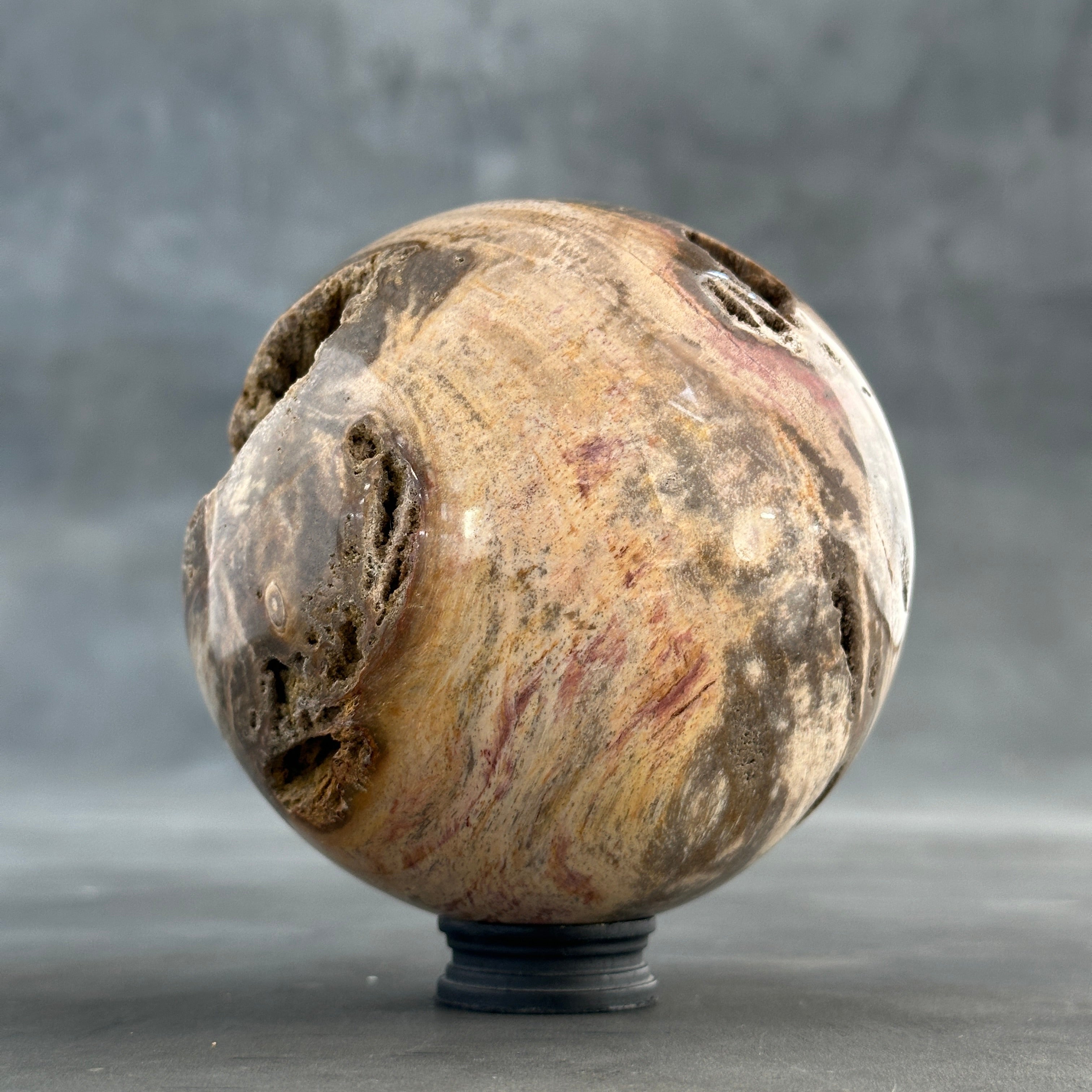 Sphere Stone petrified wood-S2/193