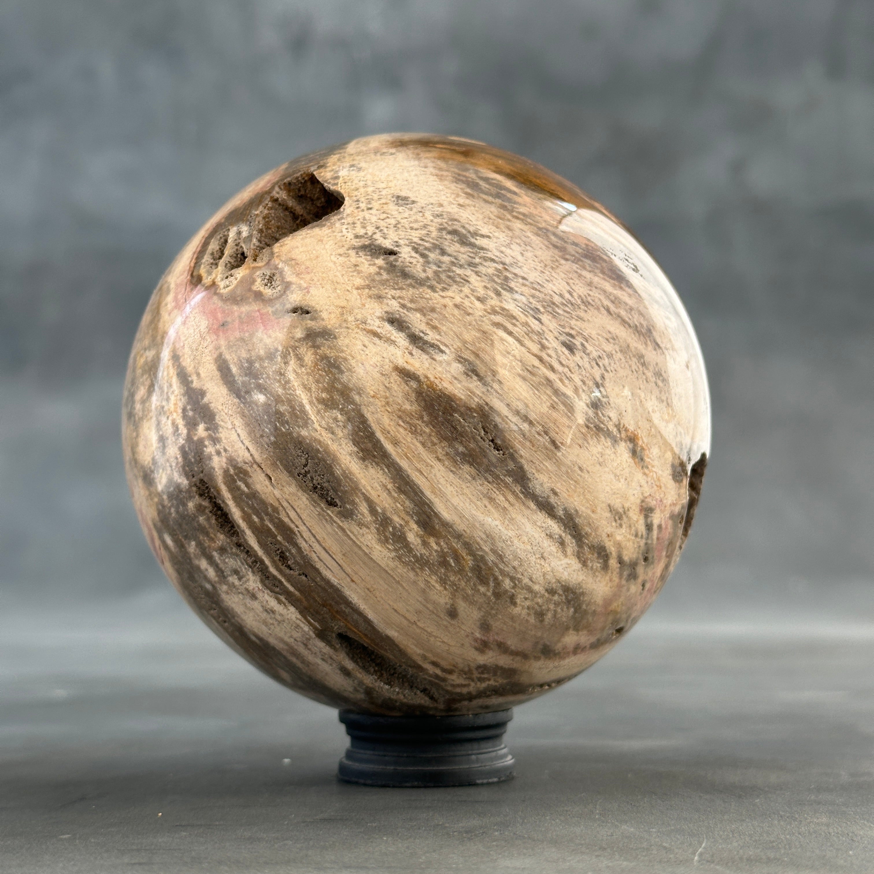 Sphere Stone petrified wood-S2/193