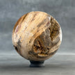 Sphere Stone petrified wood-S2/193