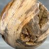 Sphere Stone petrified wood-S2/193