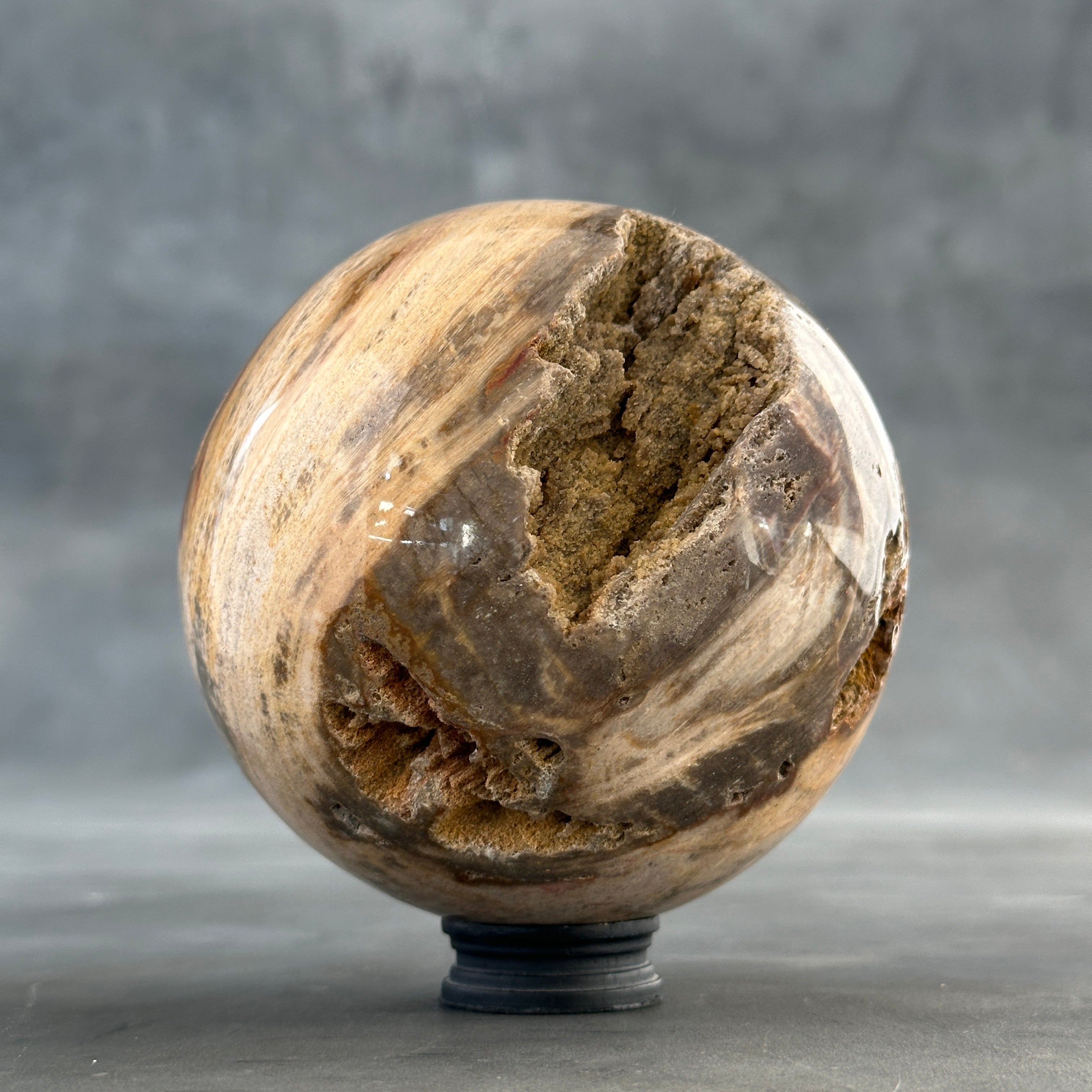 Sphere Stone petrified wood-S2/193