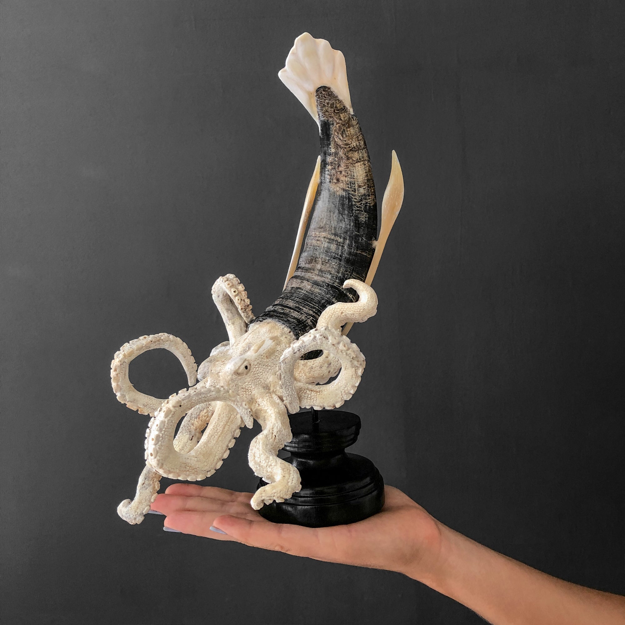 A Stunning Hand Carved Octopus With Horn on a Stand - 7K/109