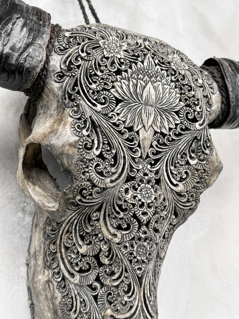 Caved Waterbuffalo Skulls with Big lotus Carving Skull,A/100