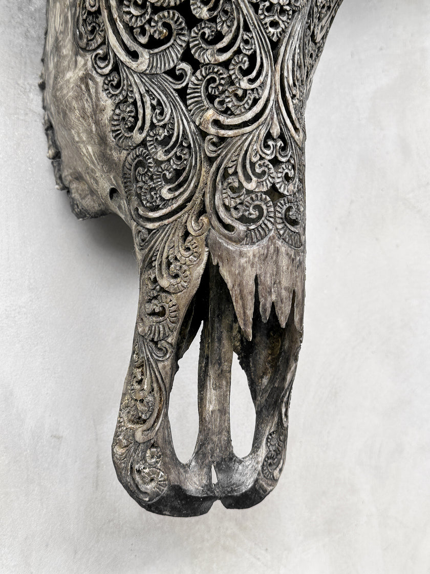 Caved Waterbuffalo Skulls with Big lotus Carving Skull,A/100