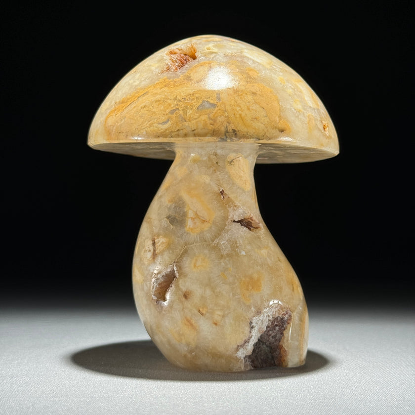 Set 3 Mushroom  - Min,A/046