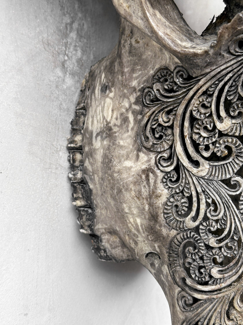 Caved Waterbuffalo Skulls with Big lotus Carving Skull,A/100