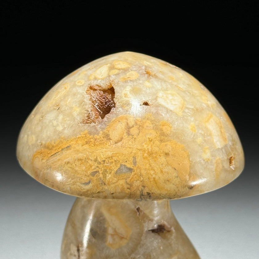 Set 3 Mushroom  - Min,A/046