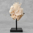 Beautiful Quartz Crystal cluster on a custom stand CC/531