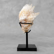 Beautiful Quartz Crystal cluster on a custom stand CC/531