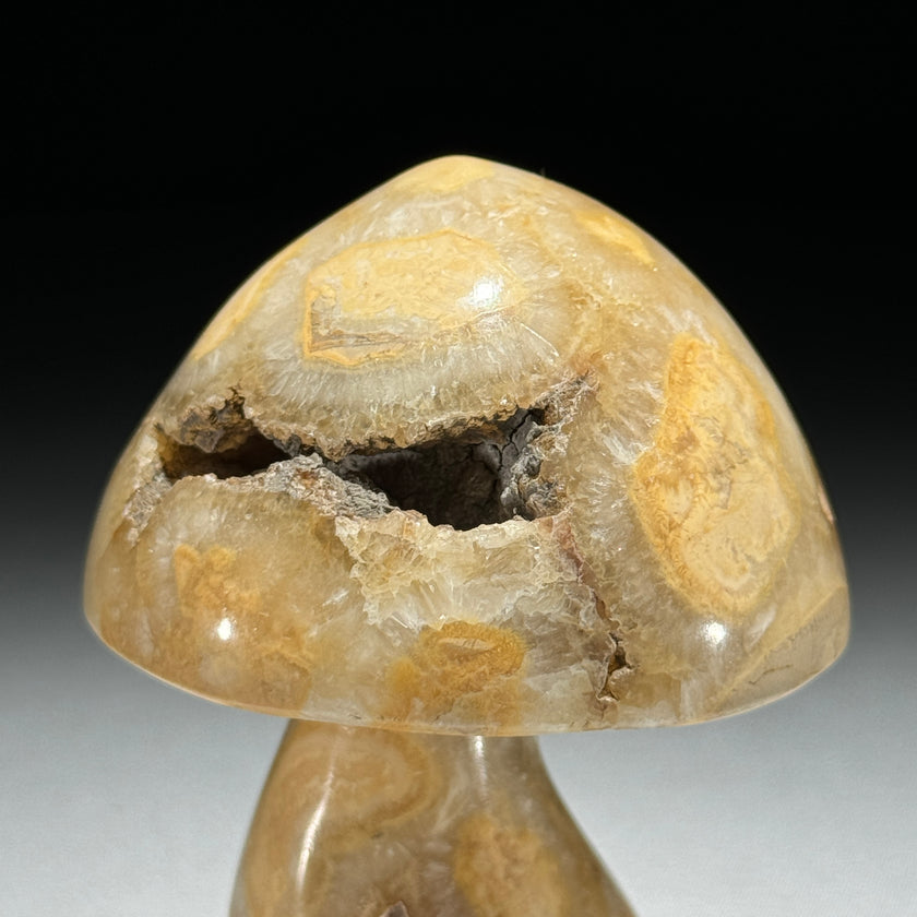 Set 3 Mushroom  - Min,A/046