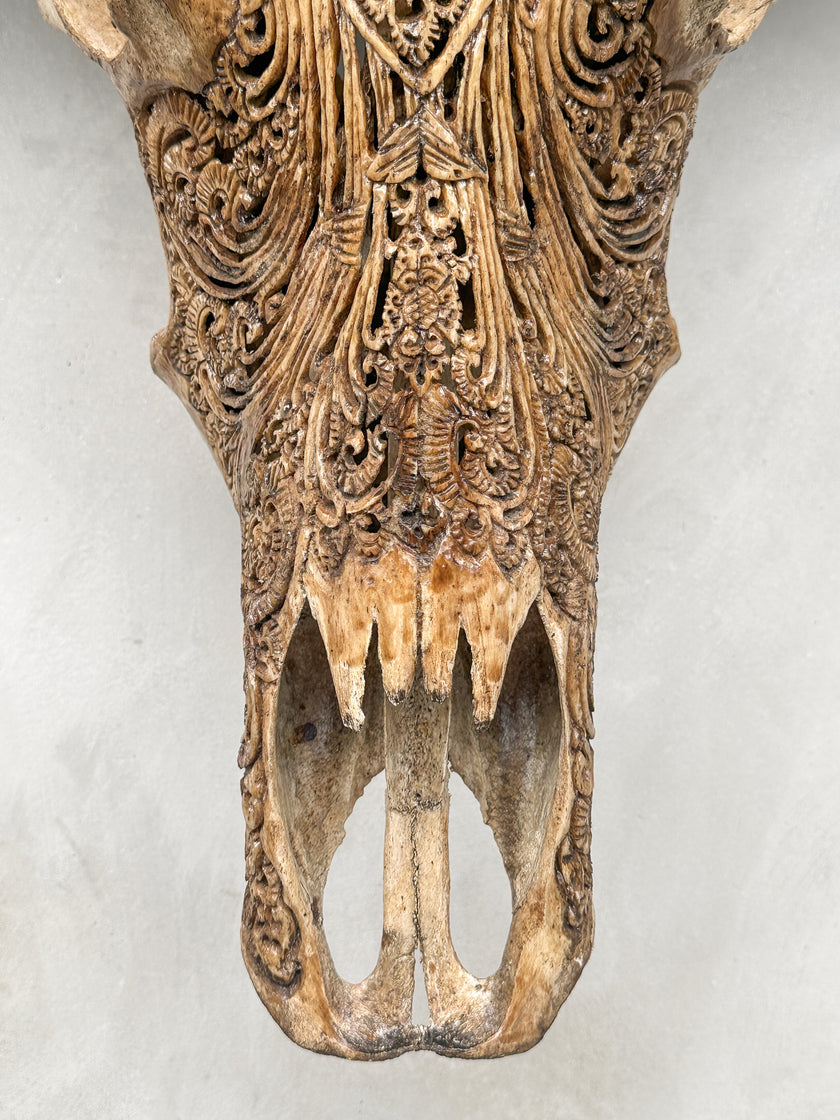 Caved Waterbuffalo Skulls with Barong Carving Skull,A/093