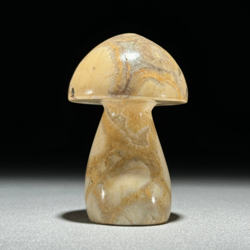 Set 3 Mushroom  - Min,A/046