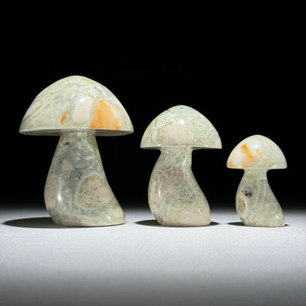Set 3 Mushroom  - Min,A/047