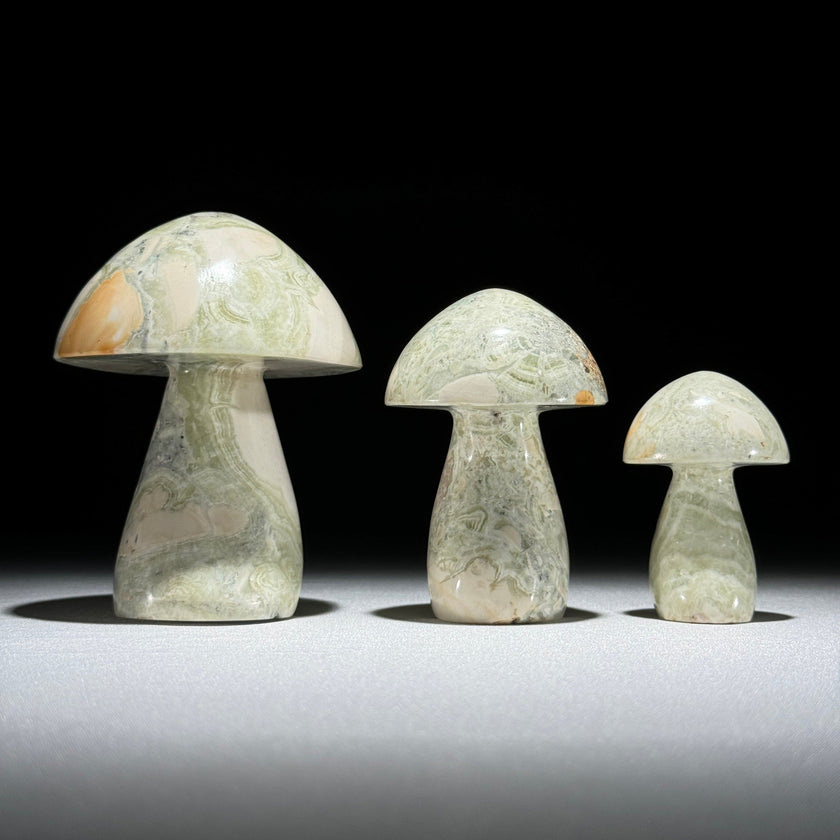 Set 3 Mushroom  - Min,A/047