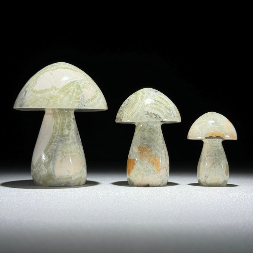 Set 3 Mushroom  - Min,A/047