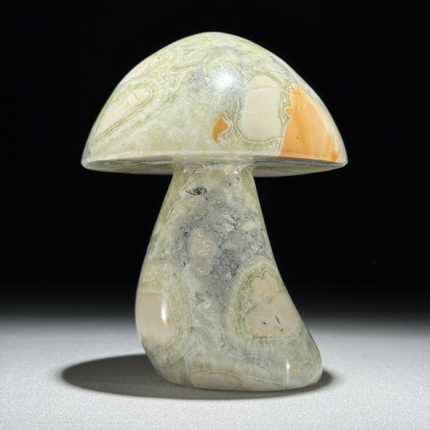 Set 3 Mushroom  - Min,A/047