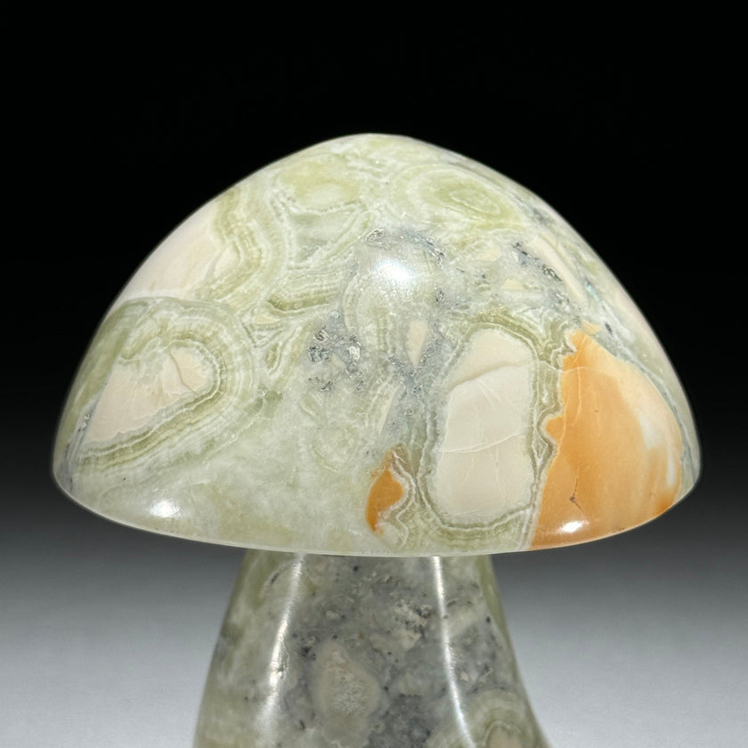 Set 3 Mushroom  - Min,A/047