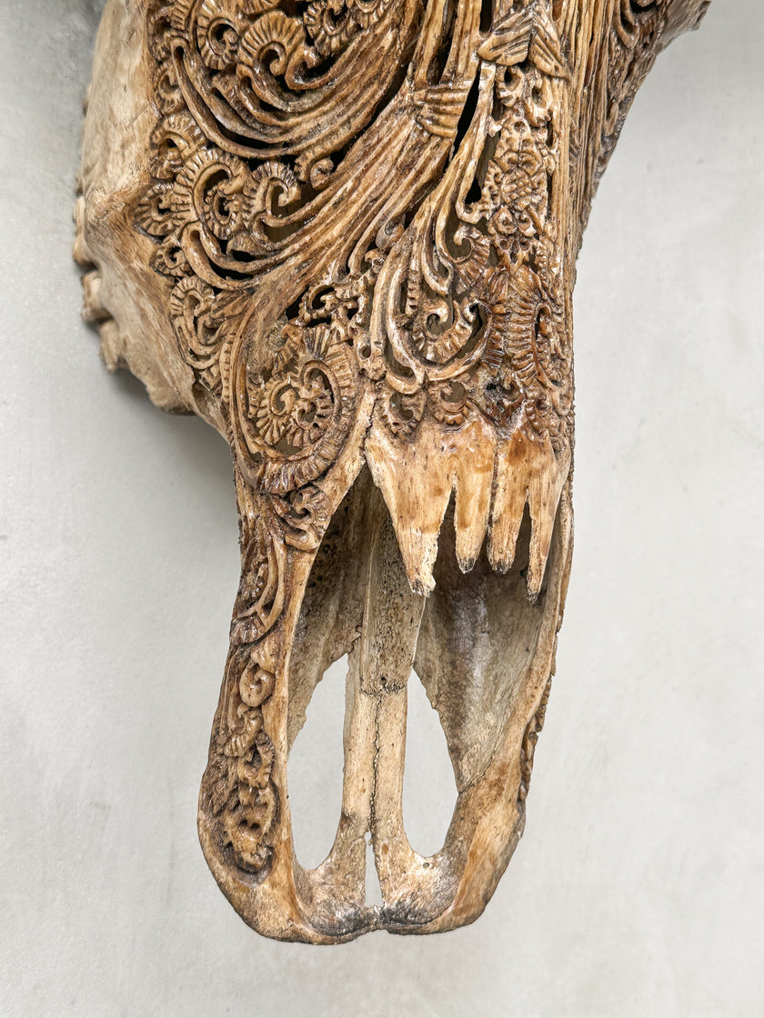 Caved Waterbuffalo Skulls with Barong Carving Skull,A/093