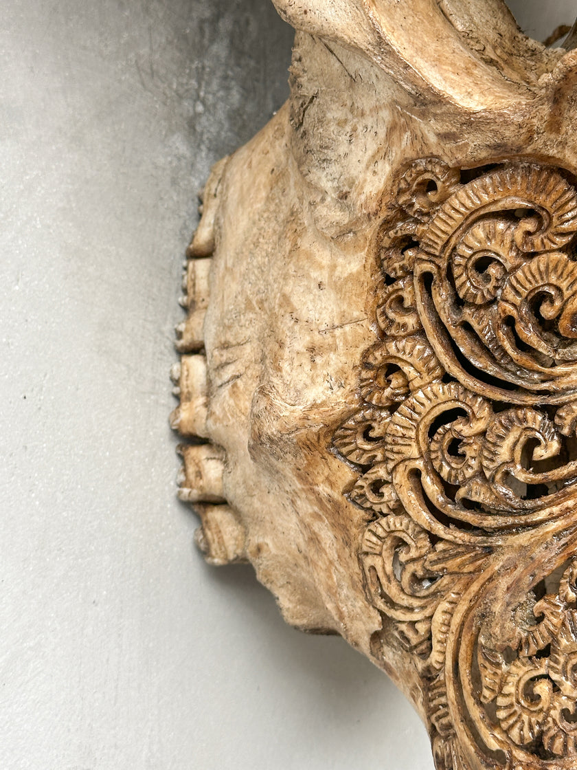 Caved Waterbuffalo Skulls with Barong Carving Skull,A/093