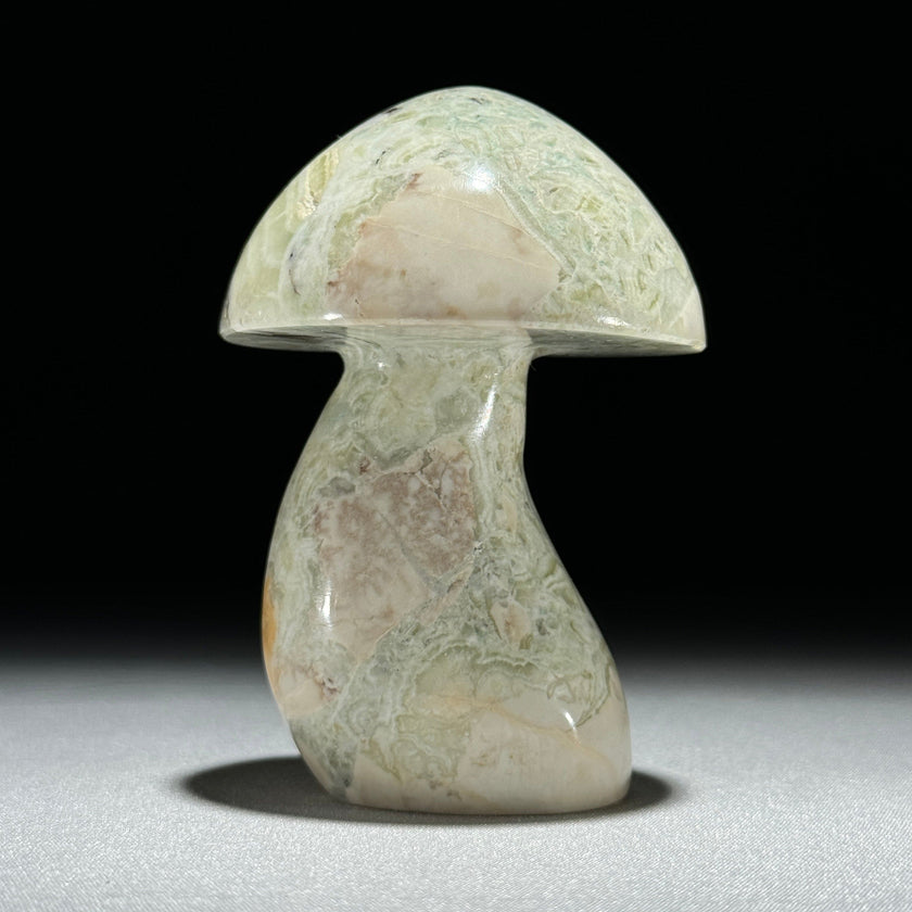 Set 3 Mushroom  - Min,A/047