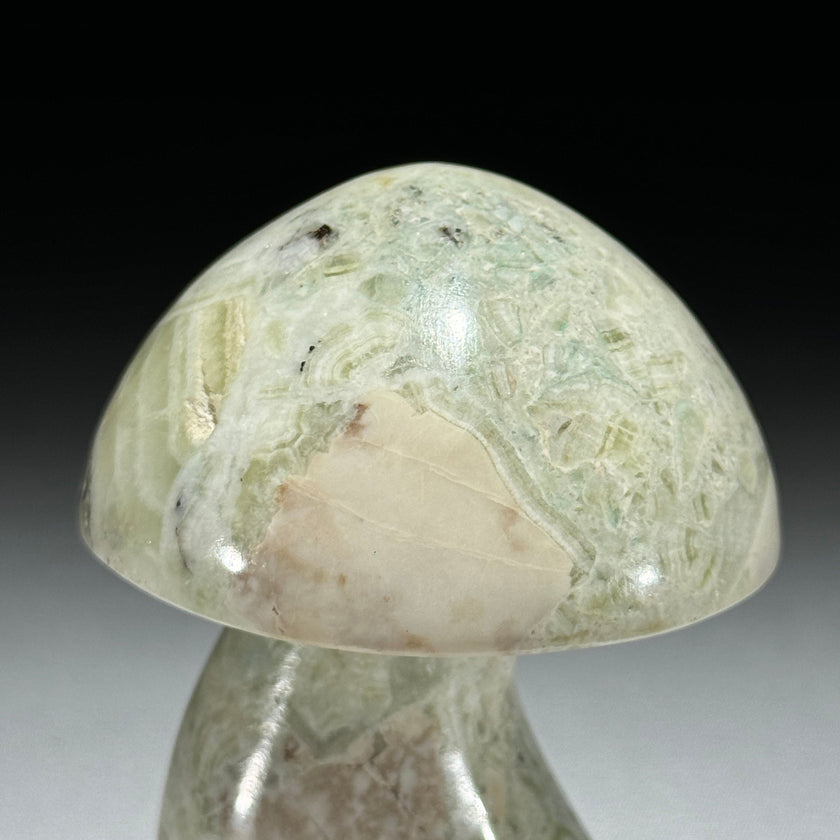 Set 3 Mushroom  - Min,A/047