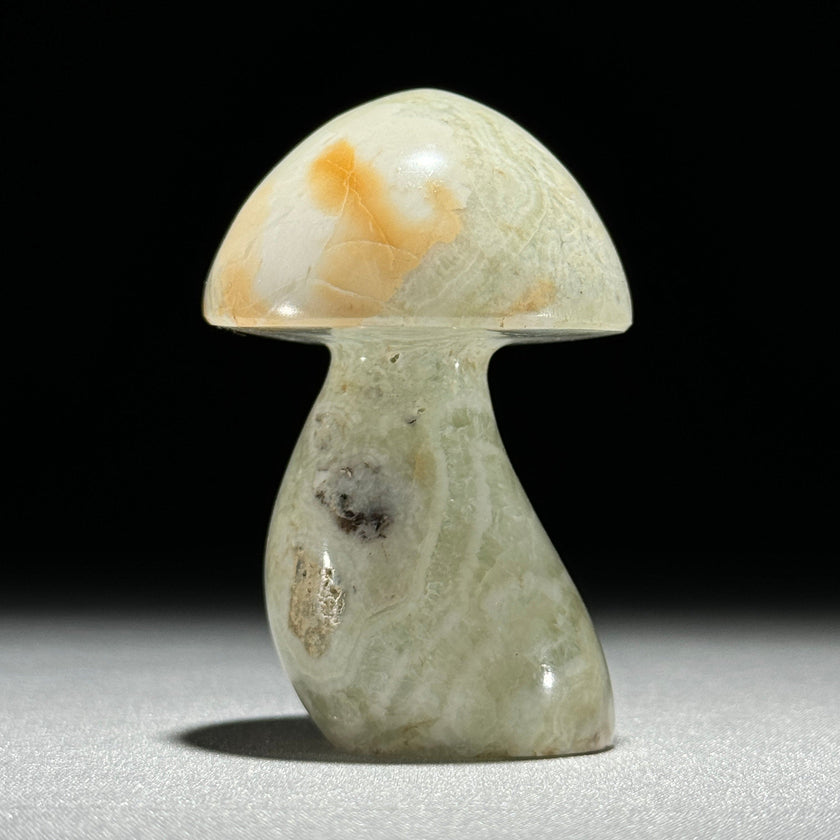 Set 3 Mushroom  - Min,A/047