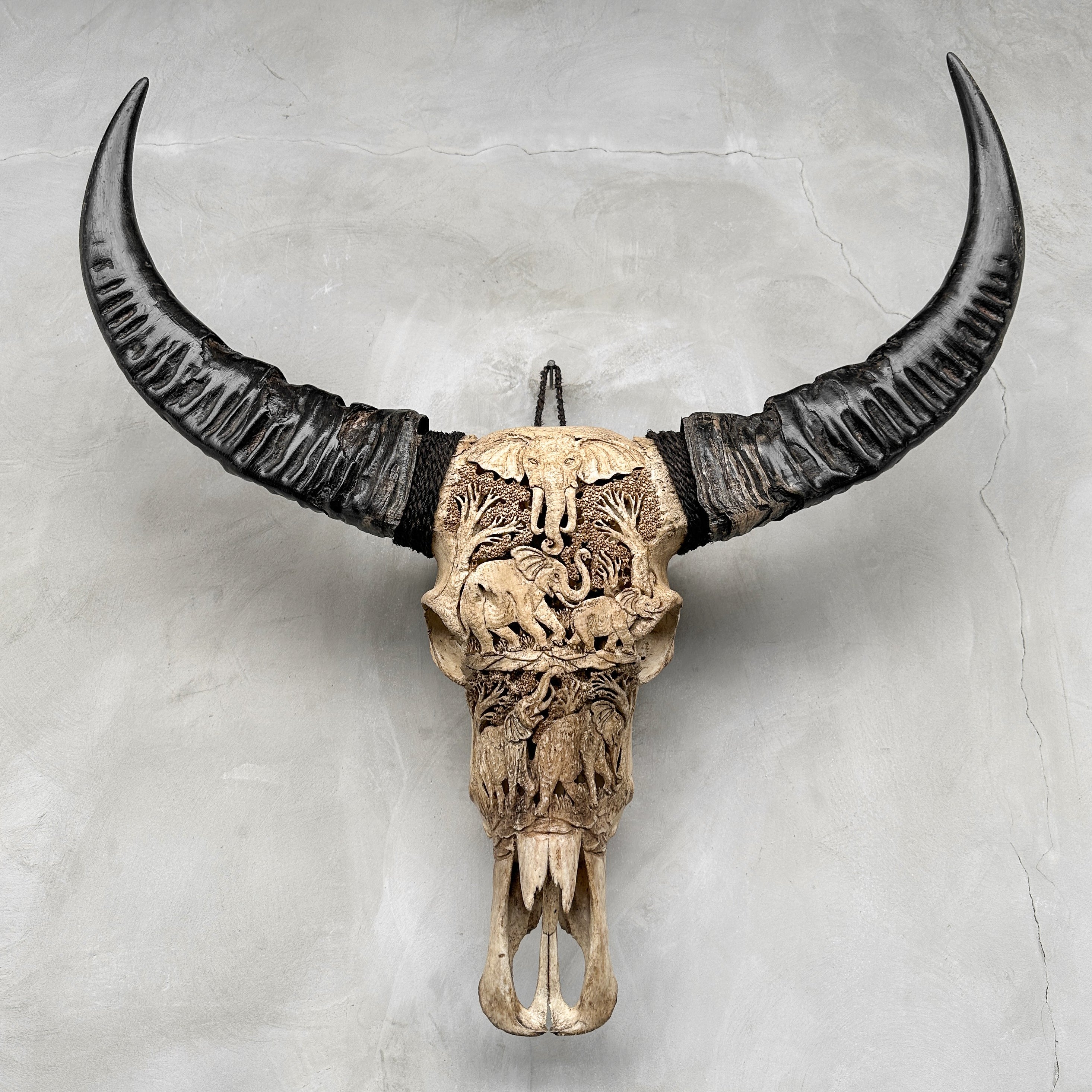 Carved Water Buffalo Skull with Elephant Scene – Handcrafted Bone Art – Wildlife Wall Decor – Safari Tribal Skull Sculpture - Skull,A/096