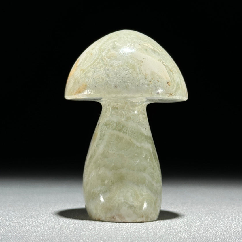 Set 3 Mushroom  - Min,A/047