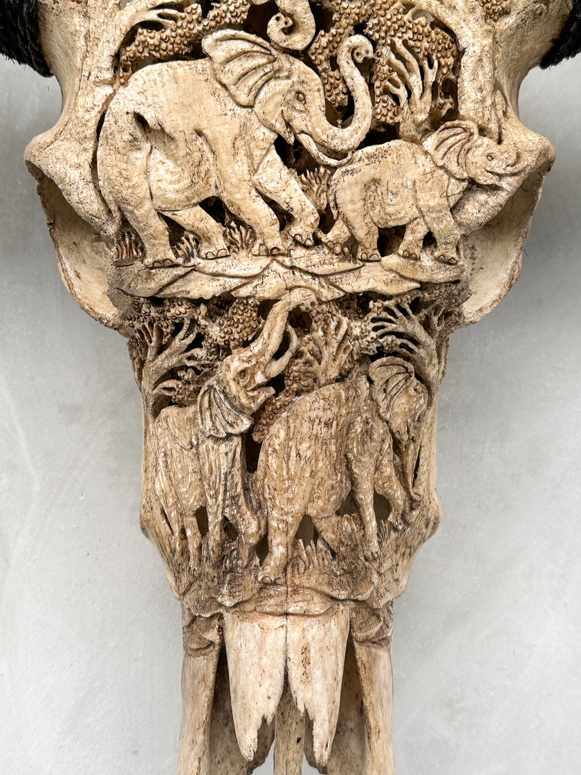 Caved Waterbuffalo Skulls with Elephant Carving Skull,A/096
