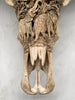 Carved Water Buffalo Skull with Elephant Scene – Handcrafted Bone Art – Wildlife Wall Decor – Safari Tribal Skull Sculpture - Skull,A/096