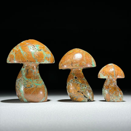 Set 3 Mushroom  - Min,A/048