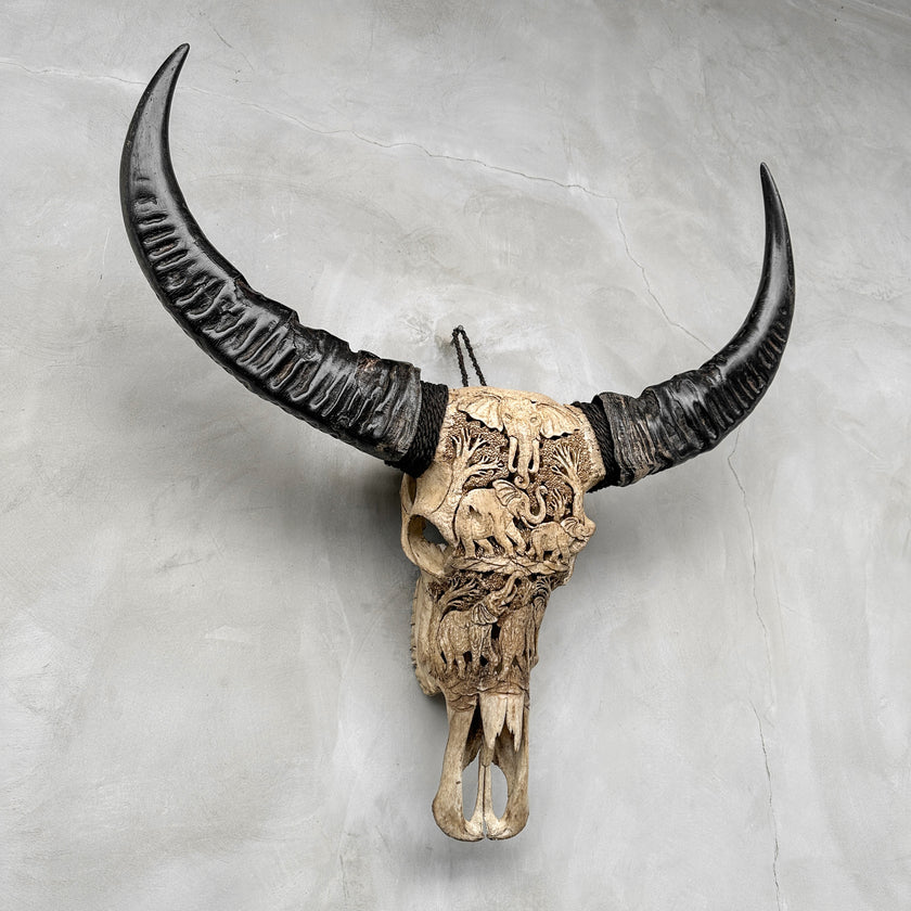 Caved Waterbuffalo Skulls with Elephant Carving Skull,A/096