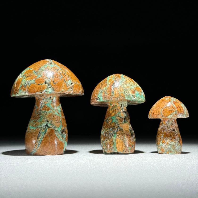 Set 3 Mushroom  - Min,A/048