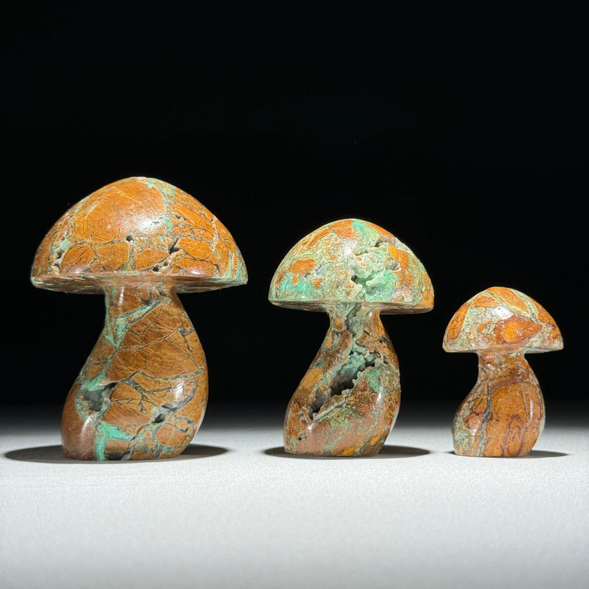 Set 3 Mushroom  - Min,A/048