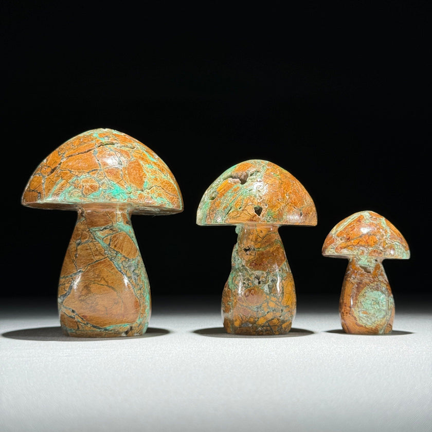 Set 3 Mushroom  - Min,A/048