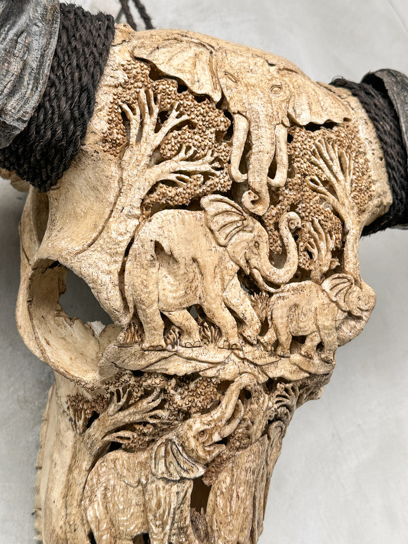 Caved Waterbuffalo Skulls with Elephant Carving Skull,A/096