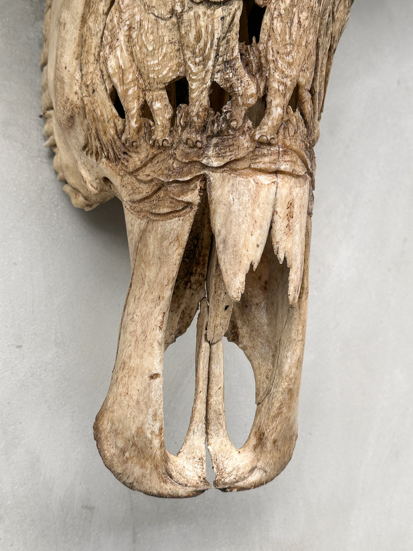 Caved Waterbuffalo Skulls with Elephant Carving Skull,A/096