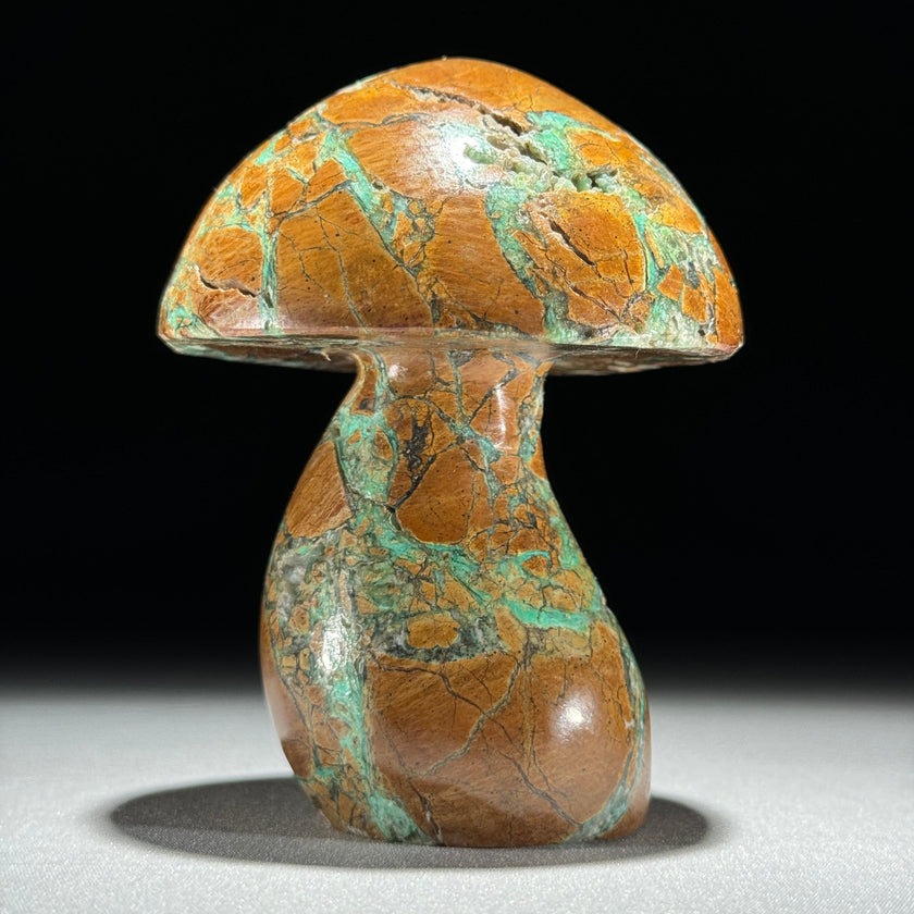 Set 3 Mushroom  - Min,A/048