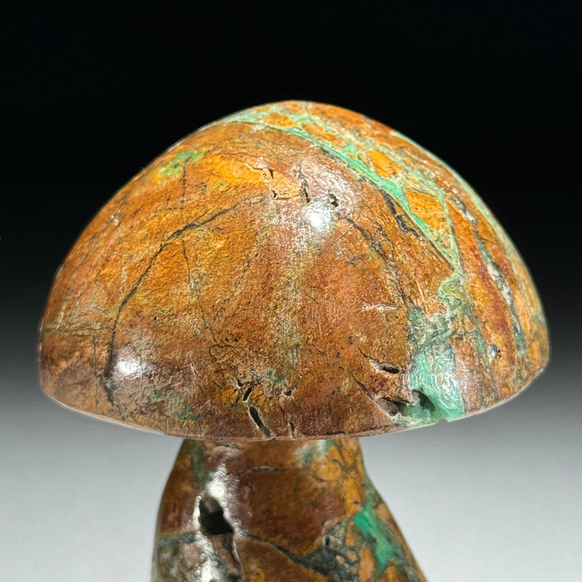 Set 3 Mushroom  - Min,A/048