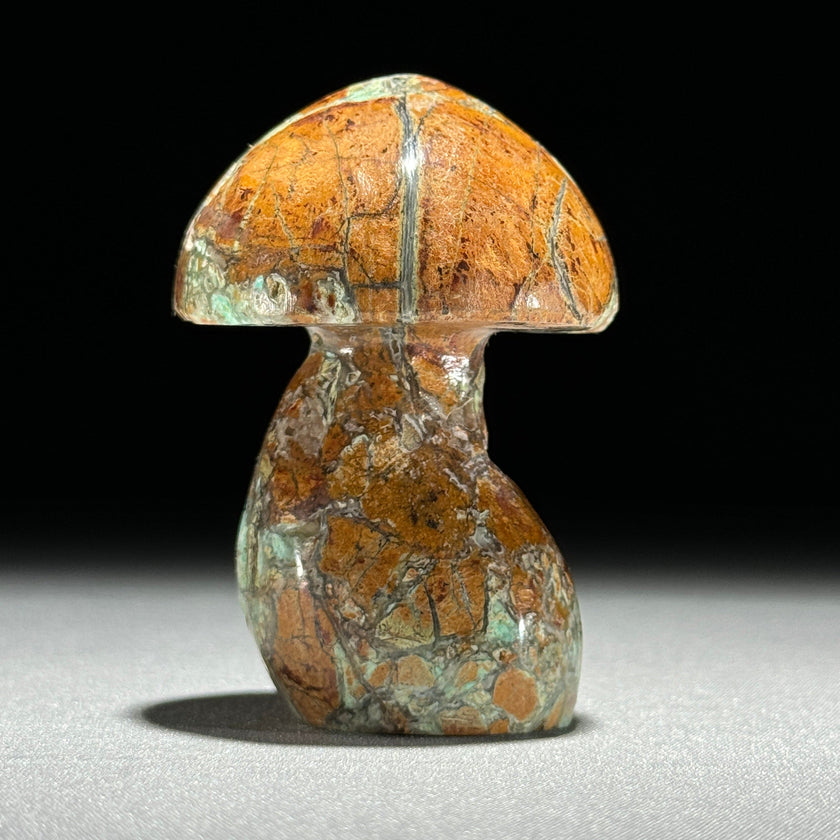 Set 3 Mushroom  - Min,A/048