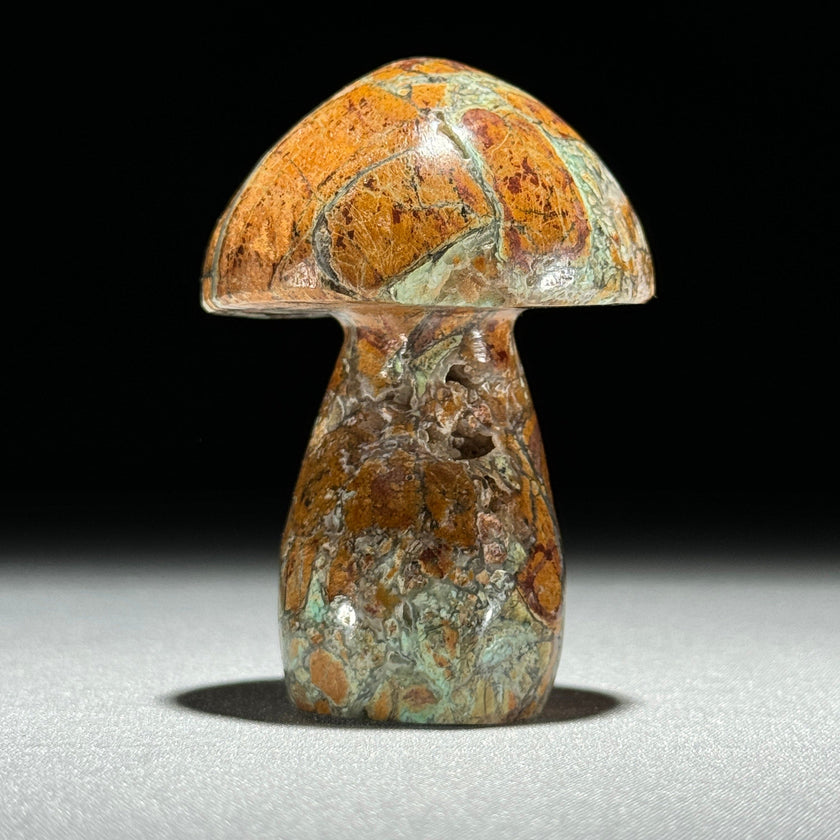Set 3 Mushroom  - Min,A/048