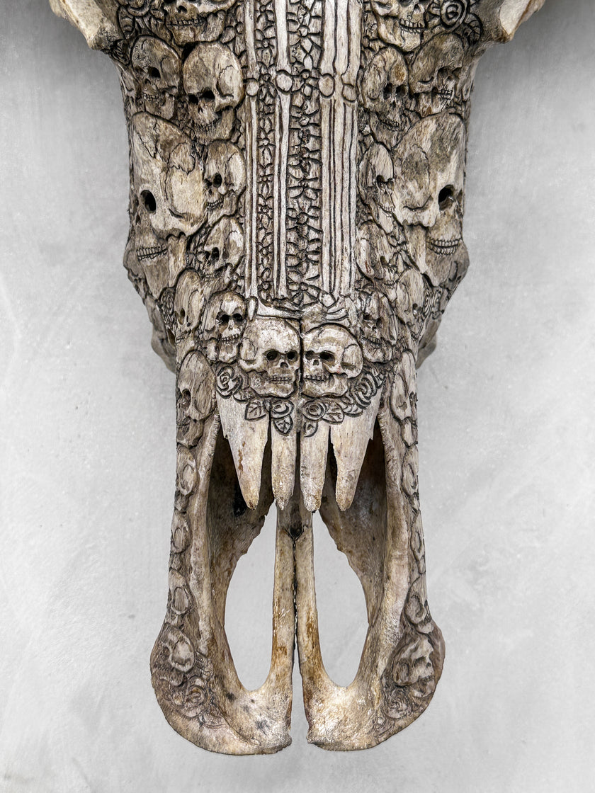 Caved Waterbuffalo Skulls with Human skull couple Carving Skull,A/099