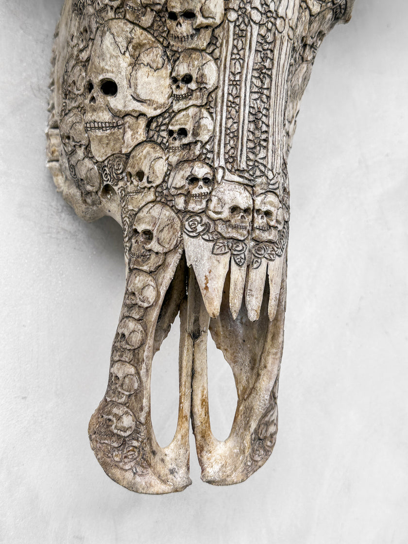 Caved Waterbuffalo Skulls with Human skull couple Carving Skull,A/099
