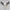 Caved Waterbuffalo Skulls with Big lotus Carving Skull,A/089