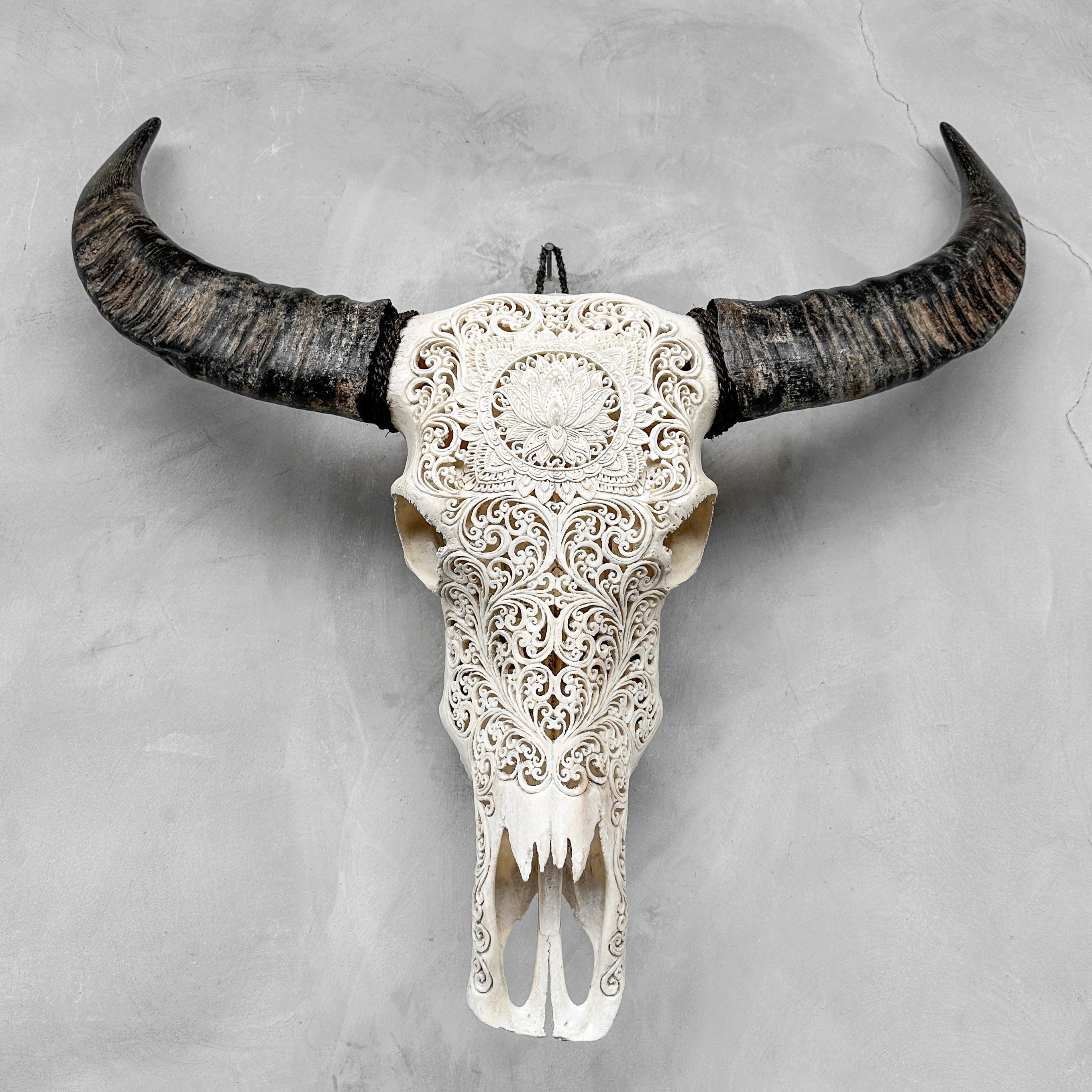 Caved Waterbuffalo Skulls with Big lotus Carving Skull,A/089